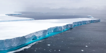 В Антарктиде начал движение самый большой айсберг в мире: чем он опасен?