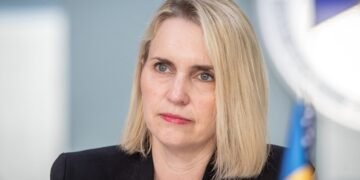 США не знайшли фактів розкрадання військової допомоги в Україні, – посол Брінк