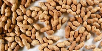 Які горіхи смертельно небезпечні?