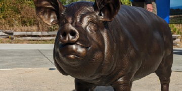 Британія і США почали війну через вбивство свині, а Калігула зробив коня сенатором: топ-10 історичних фактів, що вражають