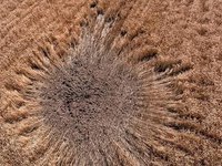 Пиротехнические службы в течение октября обследовали 2 тыс. га сельхозземель – Минэкономики