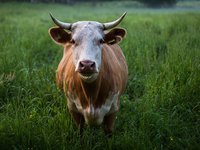 Украина получит $550 млн у рамках проекта ВБ для восстановления сельского хозяйства