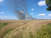 Войной поражено более 20% природоохранных территорий Украины – Минприроды