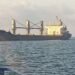 Украина экспортировала по альтернативному черноморскому коридору 10 млн тонн сельхозпродукции