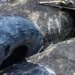 Россияне расстреляли бойцов ВСУ, которые сдавались в плен из-за нехватки БК. ВИДЕО