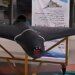 Россияне модифицировали “Шахеды”: новые дроны стали еще более опасными