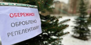 Українцям нагадали про строгі штрафи за самовільну вирубку ялинок