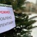 Українцям нагадали про строгі штрафи за самовільну вирубку ялинок