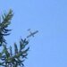 Мощная стая дронов прилетела в военные базы РФ под Москвой и Калугой: в ГУР раскрыли подробности