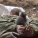 Bradley “замуровала” оккупантов, спрятавшихся в погребе. ВИДЕО