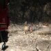 Запад Украины накрыл мощный снег: люди оказались в ловушке