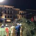Погана прикмета: в Бельгії ялинка впала і вбила людину. ВІДЕО