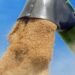 USDA повысило прогноз экспорта пшеницы из Украины на 0,5 млн тонн и кукурузы на 1 млн тонн