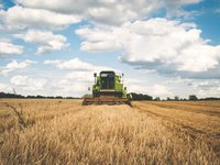 Украина стала третьим по величине поставщиком агропродукции в ЕС – СМИ