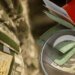 Военных могут оставить без зарплат: нардеп назвал причину
