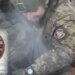 Остаткам “Вагнера” под Авдеевкой устроили “разминку”. ВИДЕО