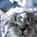 Синоптики обещают мороз без осадков: где ожидать самых сильных холодов