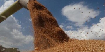 “Все воры в сборе”, – в доке Севастополя стоят поврежденные российские зерновозы. ФОТО