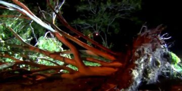 В Австралии из-за циклона “Киррили” более 40 тыс. домов остались без света