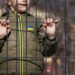 “Продовження геноциду”: Лубінець відреагував на указ Путіна про надання громадянства РФ депортованим дітям