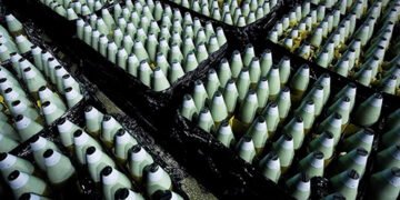 Стратегічний прорахунок Заходу: експерт пояснив, що не так із поставками зброї Україні