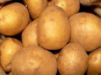 В Раде назвали топ-10 наиболее подорожавших и подешевевших продуктов и услуг