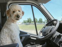 Спрос на ввезенные в Украину подержанные иномарки в 2023 году сократился на 45% – “Укравтопром”