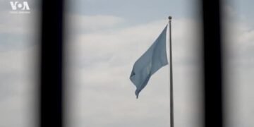 Как ООН два года пыталась, но не прекратила войну в Украине