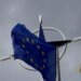 Зачем Украина нужна НАТО? Foreign Affairs привел важные аргументы