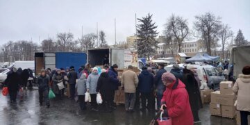 В России предлагают ввести “компенсации за яйца”