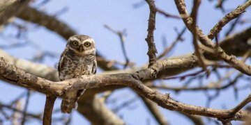 В Украине установилась почти весна