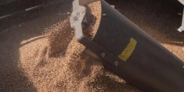 В обход польской границы: Украина нашла вменяемую страну для предсказуемого экспортного маршрута