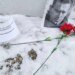 Соратники Навального заявили, что его тело отдали матери