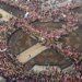 Фермеры в Европе продолжают протестовать. ФОТО