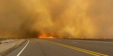 Пожар в Техасе: огонь уничтожает “150 футбольных полей” в минуту. ВИДЕО и ФОТО
