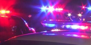 Тело сложил в чемодан и хотел сжечь: в Харькове убили звезду балета