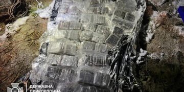 Прикордонники приземлили дрон із 22 кг наркотиків на 13 млн грн. ВІДЕО