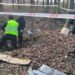 На Івано-Франківщині брат вбив сестру, а тіло закопав у лісі