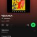 Украинцы обратились к Spotify по поводу российской музыки. Что происходит