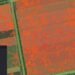 Федоров показал технологию разминирования с помощью ИИ. Как работает