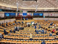 Аграрный комитет Европарламента предложил радикально повысить защитные механизмы от украинской агропродукции