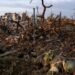 Подтверждена гибель более 45 тысяч российских военных в Украине
