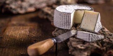 Не здатен розмножуватися. Грибок, що утворює камамбер, знаходиться на межі зникнення, а разом з ним і сир – вчені
