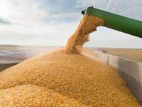 Экспорт по Украинскому морскому коридору достиг 20 млн тонн – Кубраков