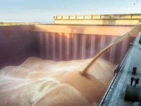Минагрополитики: 90% всей украинской агропродукции экспортируется по Черному морю