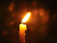 В результате полномасштабной войны погибли уже 443 украинских спортсменов и тренеров – Минспорта