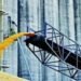 Испания заинтересована в импорте украинских кукурузы и подсолнечника