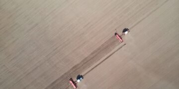 Европейские дипломаты согласовали сделку по сельскохозяйственному импорту из Украины