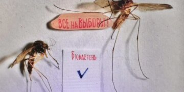 “Голосуют насекомые”: в России сделали избирательный бюллетень кузнечику. ВИДЕО и ФОТО