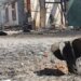 На Сумщине раздалось 286 взрывов
